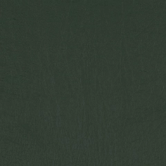 Conifer